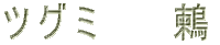 cO~@@I 