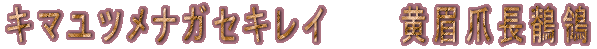 L}ciKZLC@@@@@ܒT 