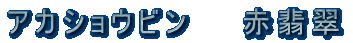 AJVEr@Ő 