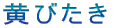 т