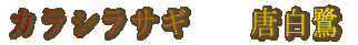 JVTM@@
